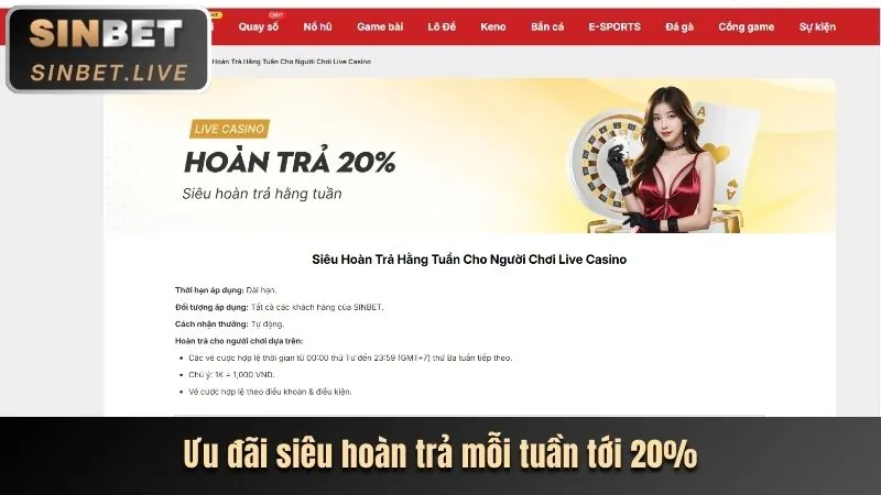 Chương trình hoàn trả thua cược 6623a